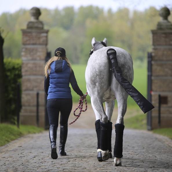 Bande de repos - Kentucky