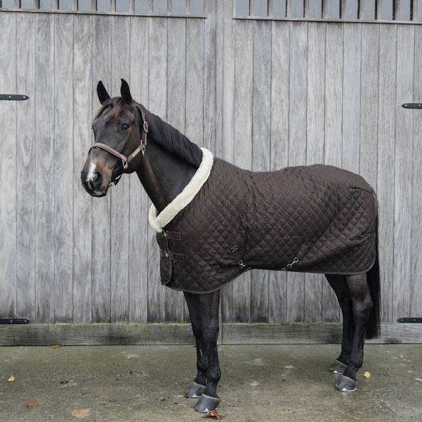 Presentation blanket 160g Brown - Kentucky