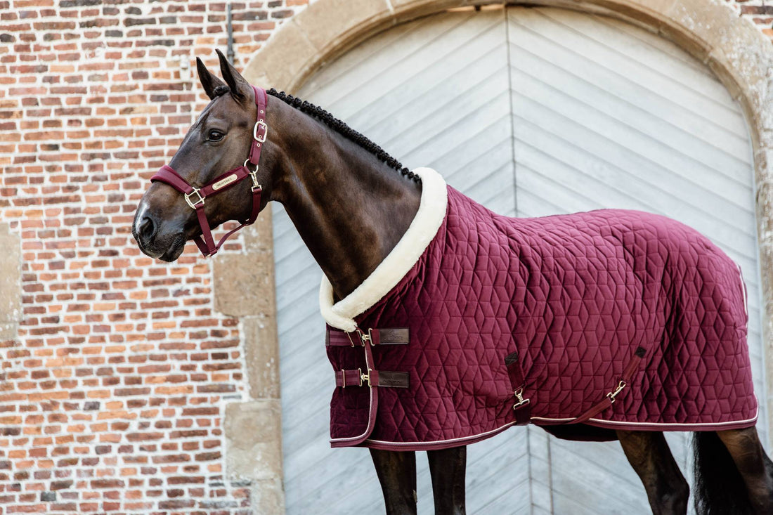 Velvet Presentation Cover 160g Kentucky - Burgundy