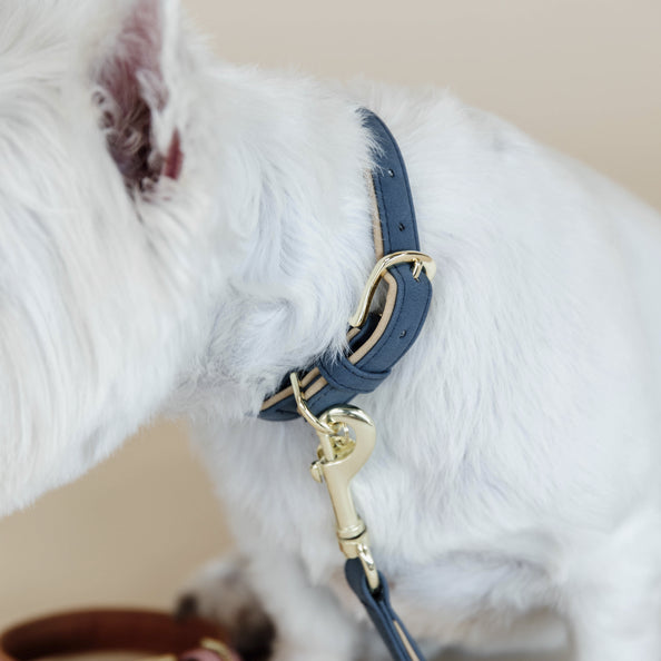 Collier pour chien Vegan Leather - Kentucky