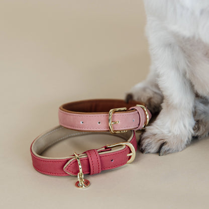 Collier pour chien Vegan Leather - Kentucky