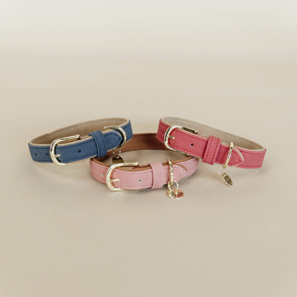 Vegan Leather Dog Collar - Kentucky