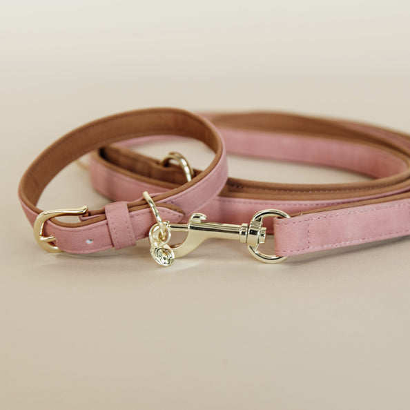 Collier pour chien Vegan Leather - Kentucky