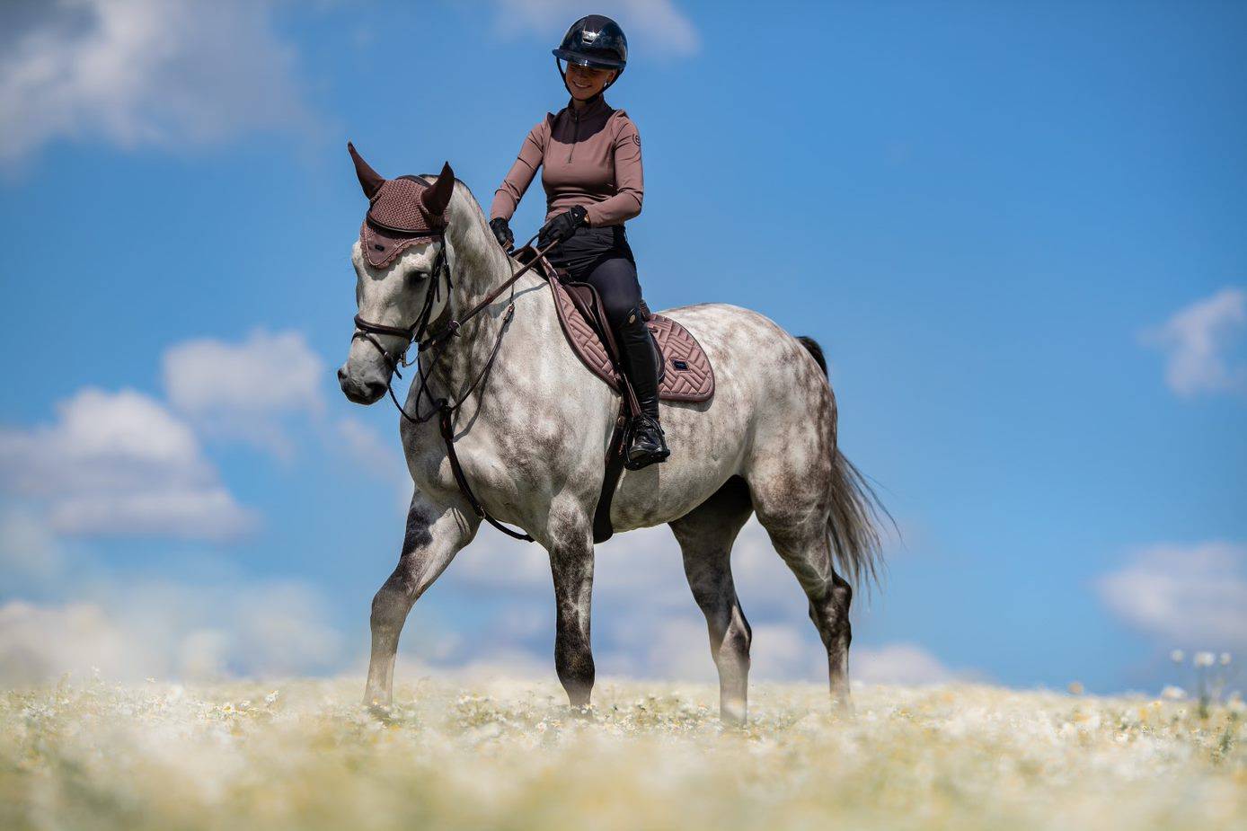 Amaranth saddle pad - Equestrian Stockholm