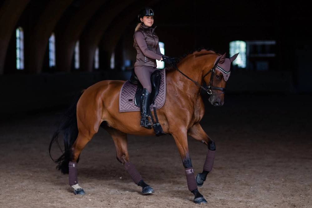 Amaranth saddle pad - Equestrian Stockholm