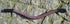 Frontal cristaux argent & fuschia