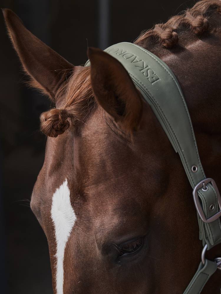 Doublepin Crystal Platinum Halter 2022 - Eskadron