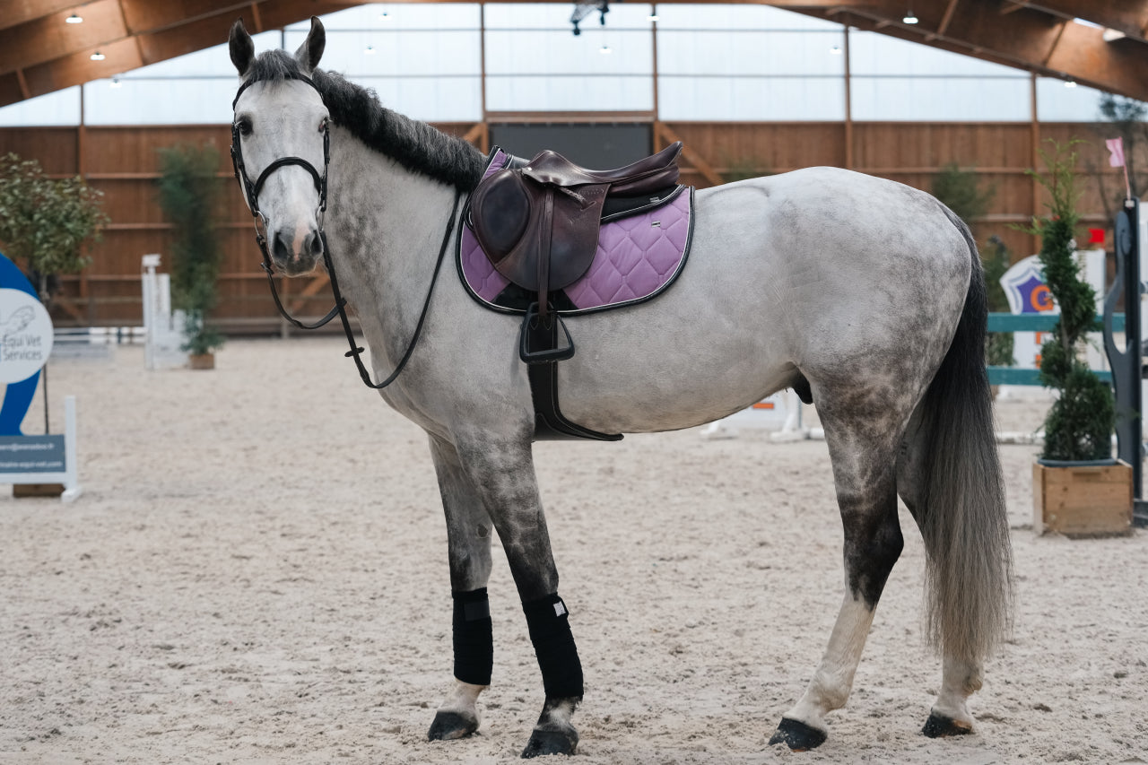 Classic saddle pad - GEM