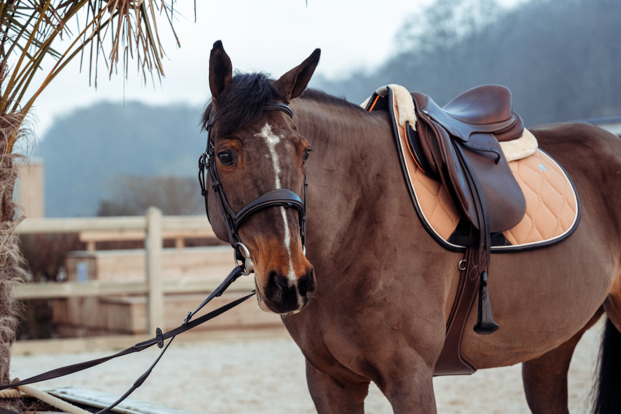 Classic saddle pad - GEM