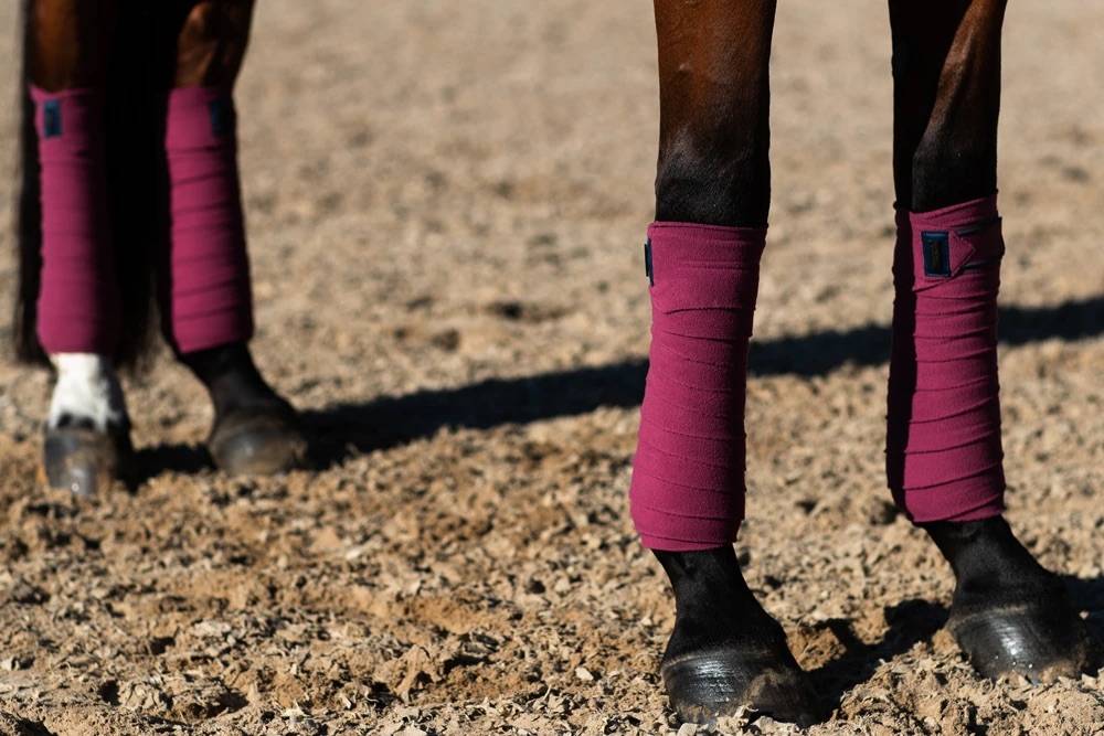 Timeless Pink Polo Bands - Equestrian Stockholm