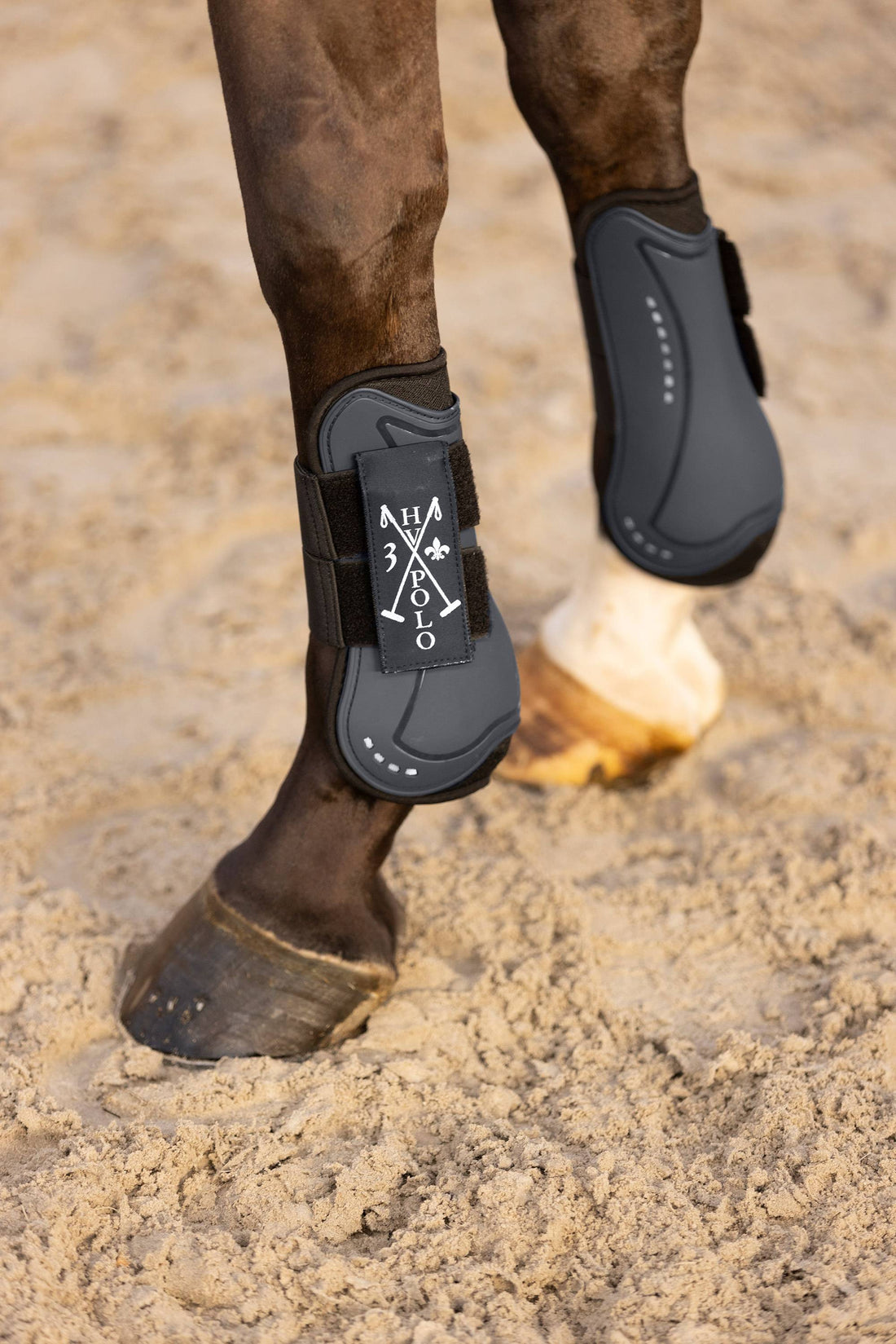 Set of Franka gaiters and fetlock guards - HV Polo