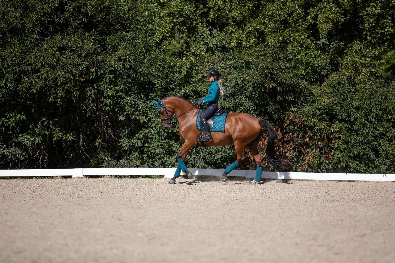 Tapis de selle Aurora Blues - Equestrian Stockholm