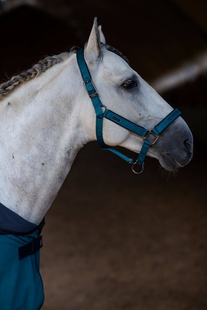 Aurora Blues Sports Halter and Lead - Equestrian Stockholm