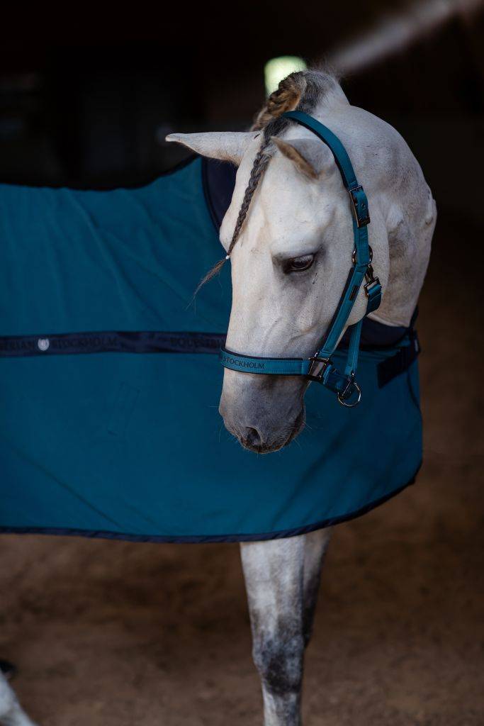 Aurora Blues Sports Halter and Lead - Equestrian Stockholm