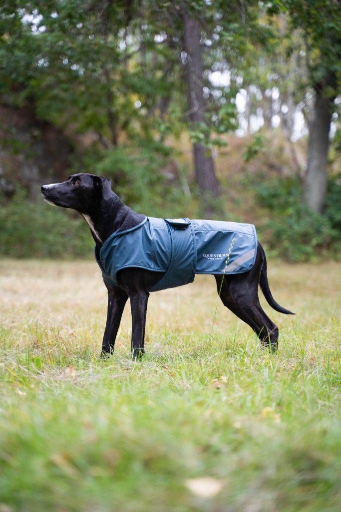 Couverture imperméable chien Aurora Blues - Equestrian Stockholm