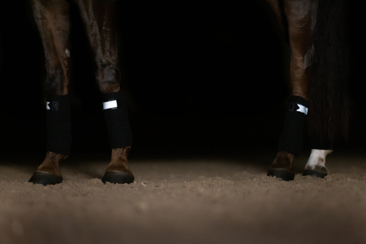 Bandes de polo Luminous Black - Equestrian Stockholm