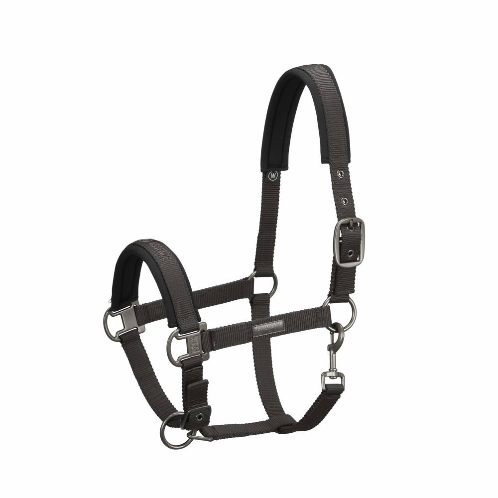 Pin Buckle Halter Essence 2022 - Eskadron