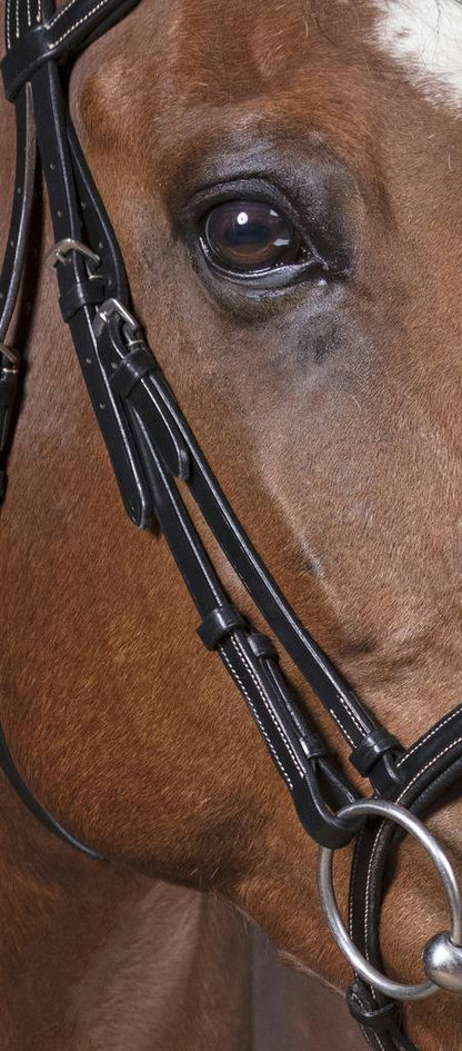 Pro cut bridle - Norton