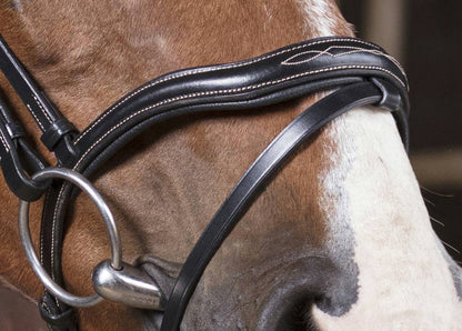 Pro cut bridle - Norton