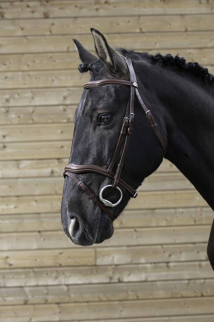 Pro cut bridle - Norton