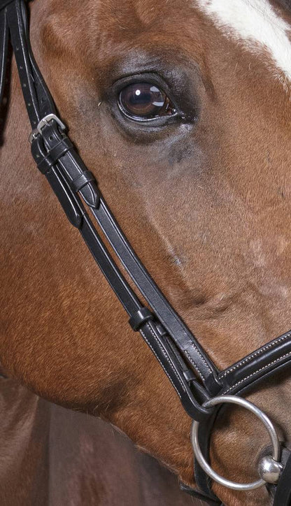 Professional thin bridle - Norton