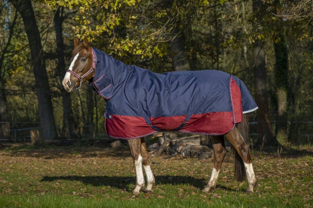 Tyrex 1200D Combo 350g Blanket - Equithème