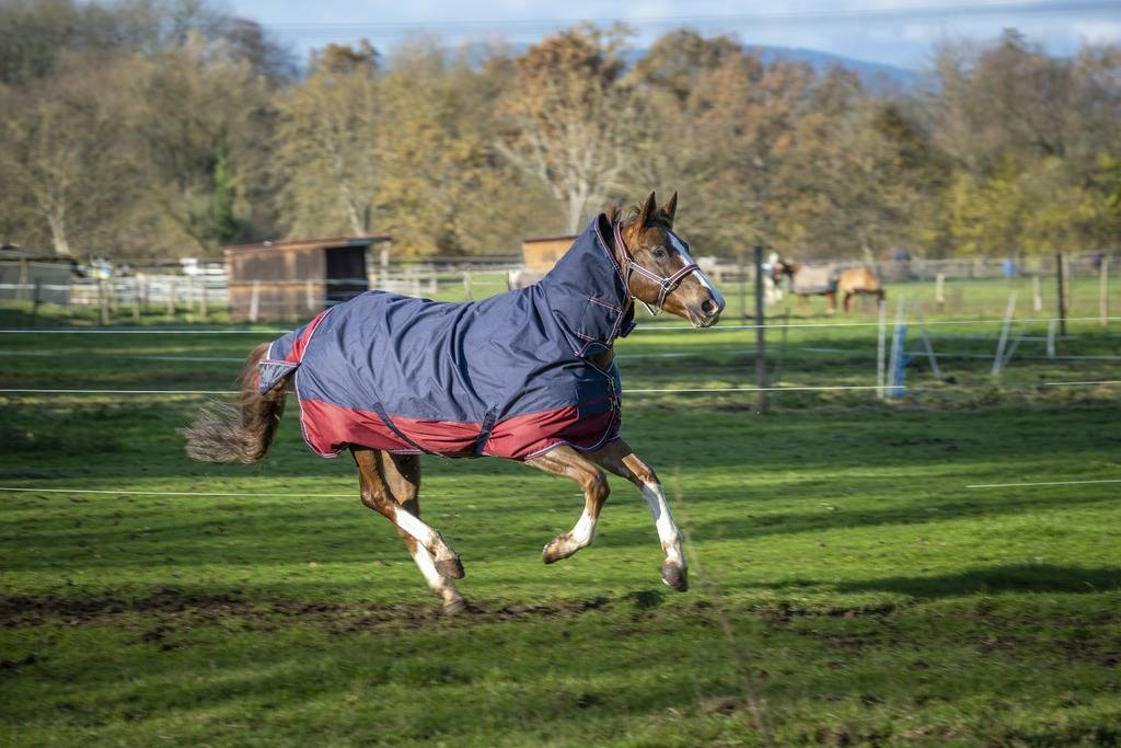 Tyrex 1200D Combo 350g Blanket - Equithème