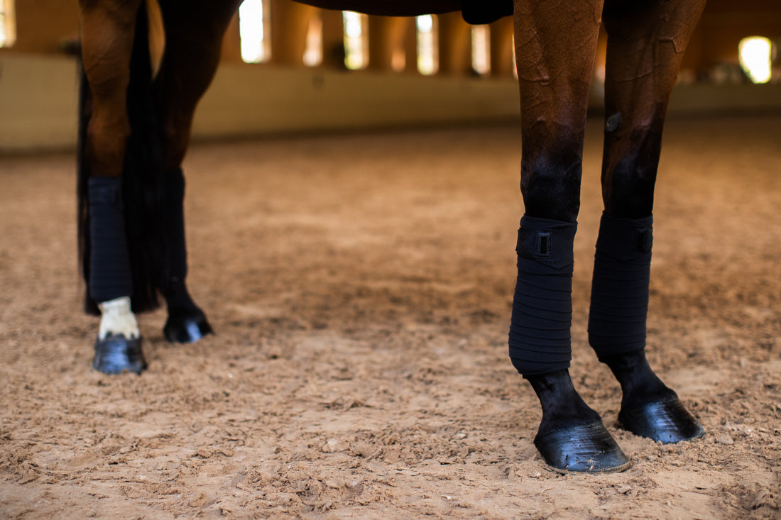 All Black Glimmer Polo Bands - Equestrian Stockholm