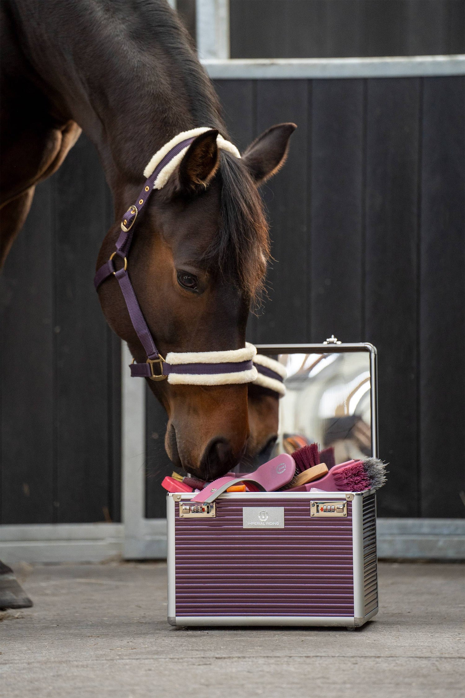 Grooming box Shiny Classic - Imperial Riding