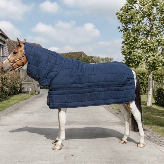 Skin Friendly Neck Cover Underblanket 150g - Kentucky