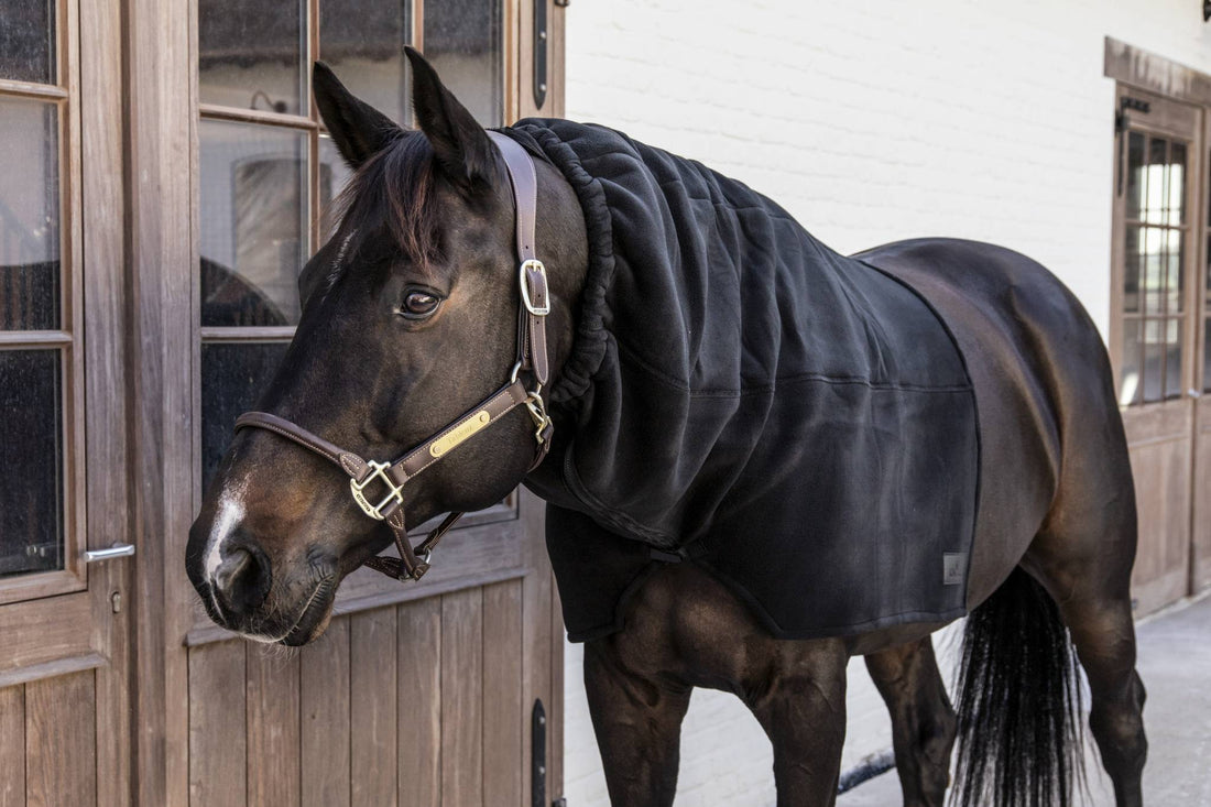 Heavy Fleece Scarf - Kentucky