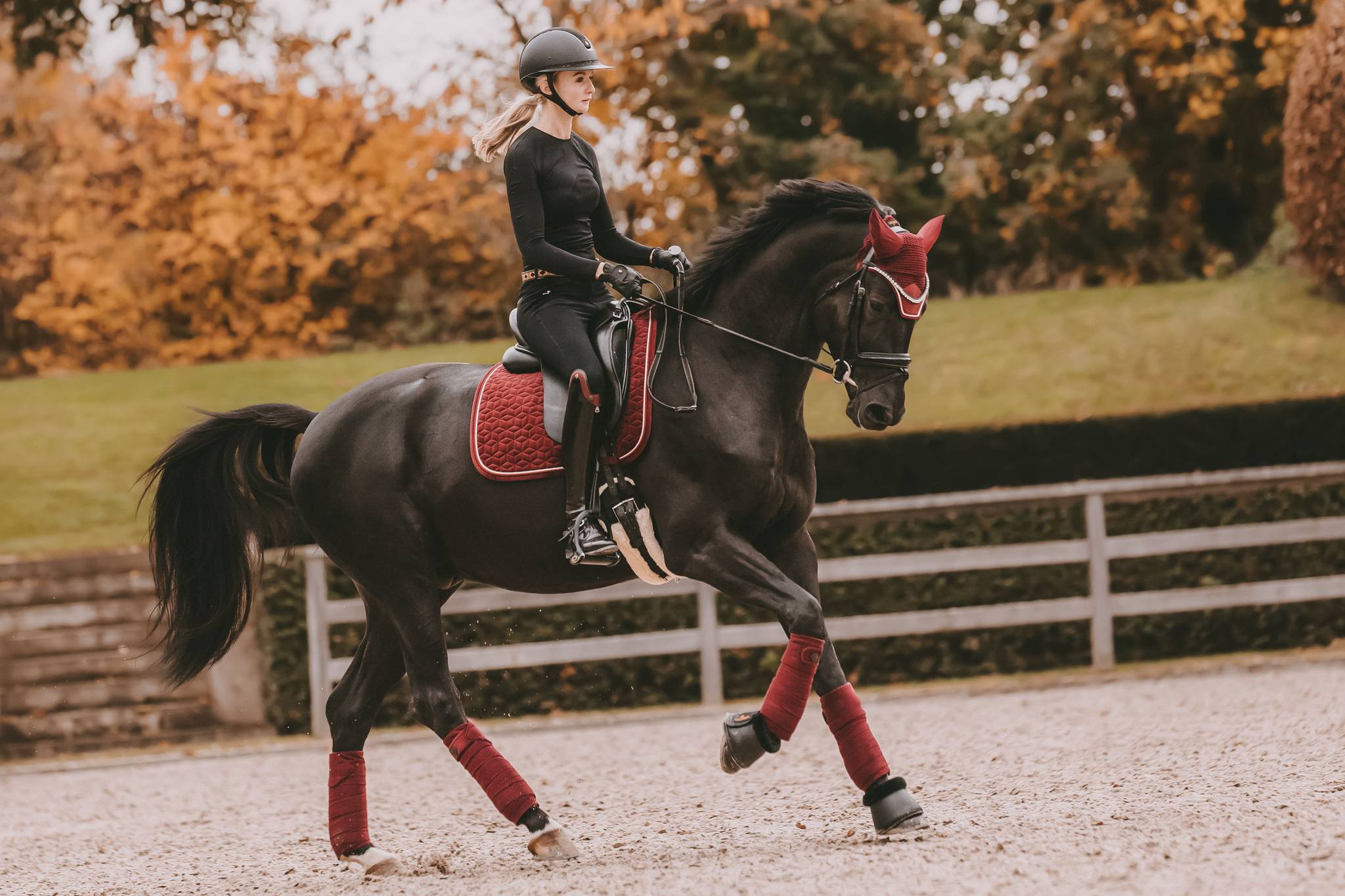 Tapis Velvet Bordeaux DRESSAGE - Kentucky