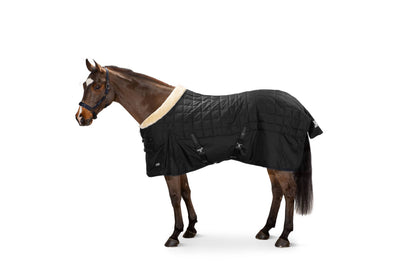 Zeta 200g Basics stable rug - Eskadron