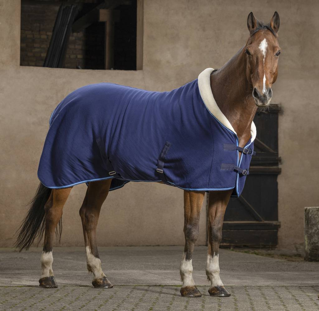 Chemise Confort - Riding World
