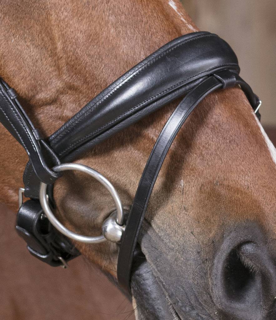 Bridon IHWT Evolution Soft T Contact Avec Strass | Bridons Bridon IHWT Evolution Soft T Contact Avec Strass | Bridons