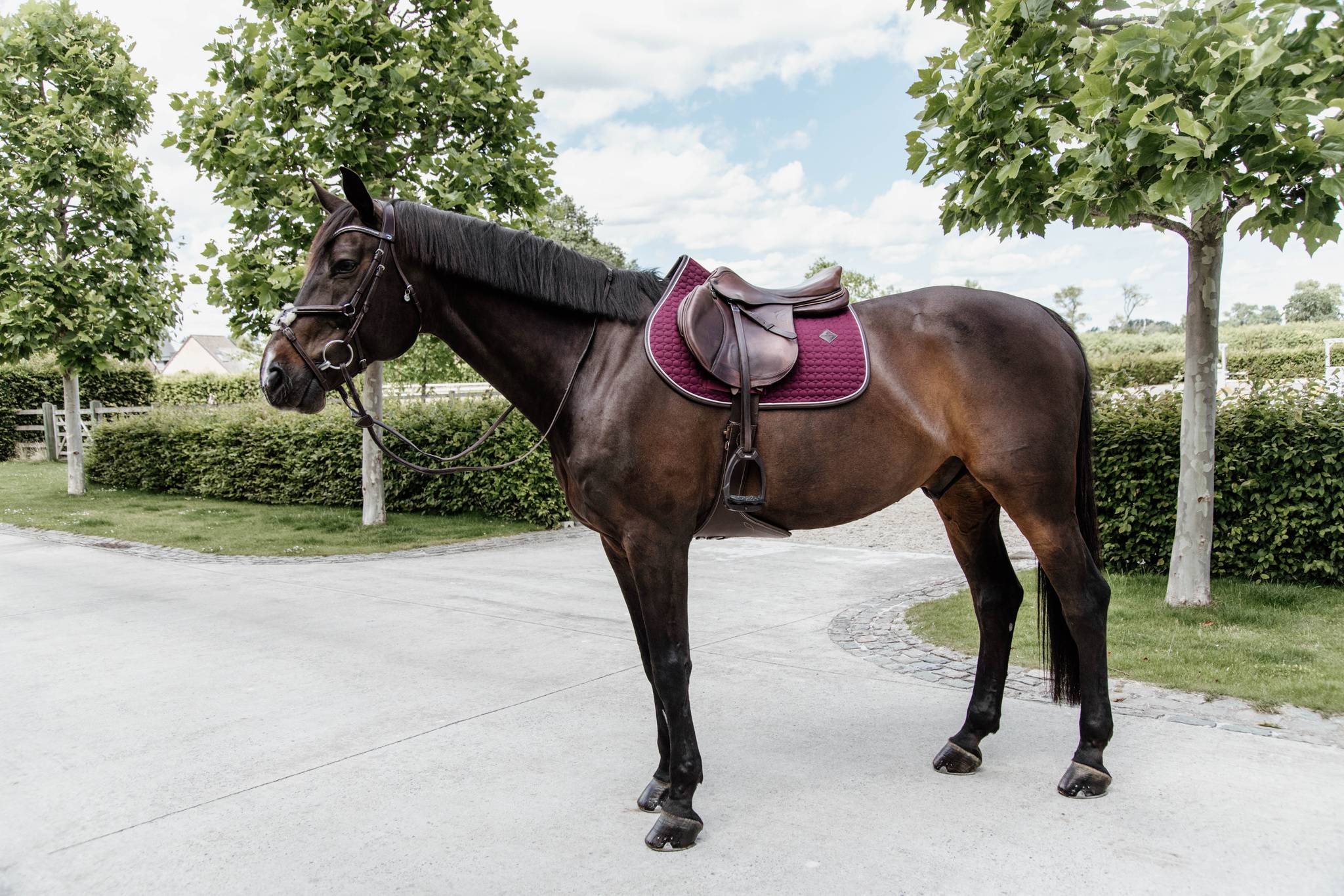 Tapis Classic Leather - Kentucky