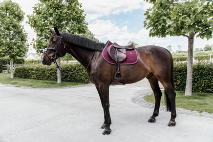 Classic Leather Rug - Kentucky