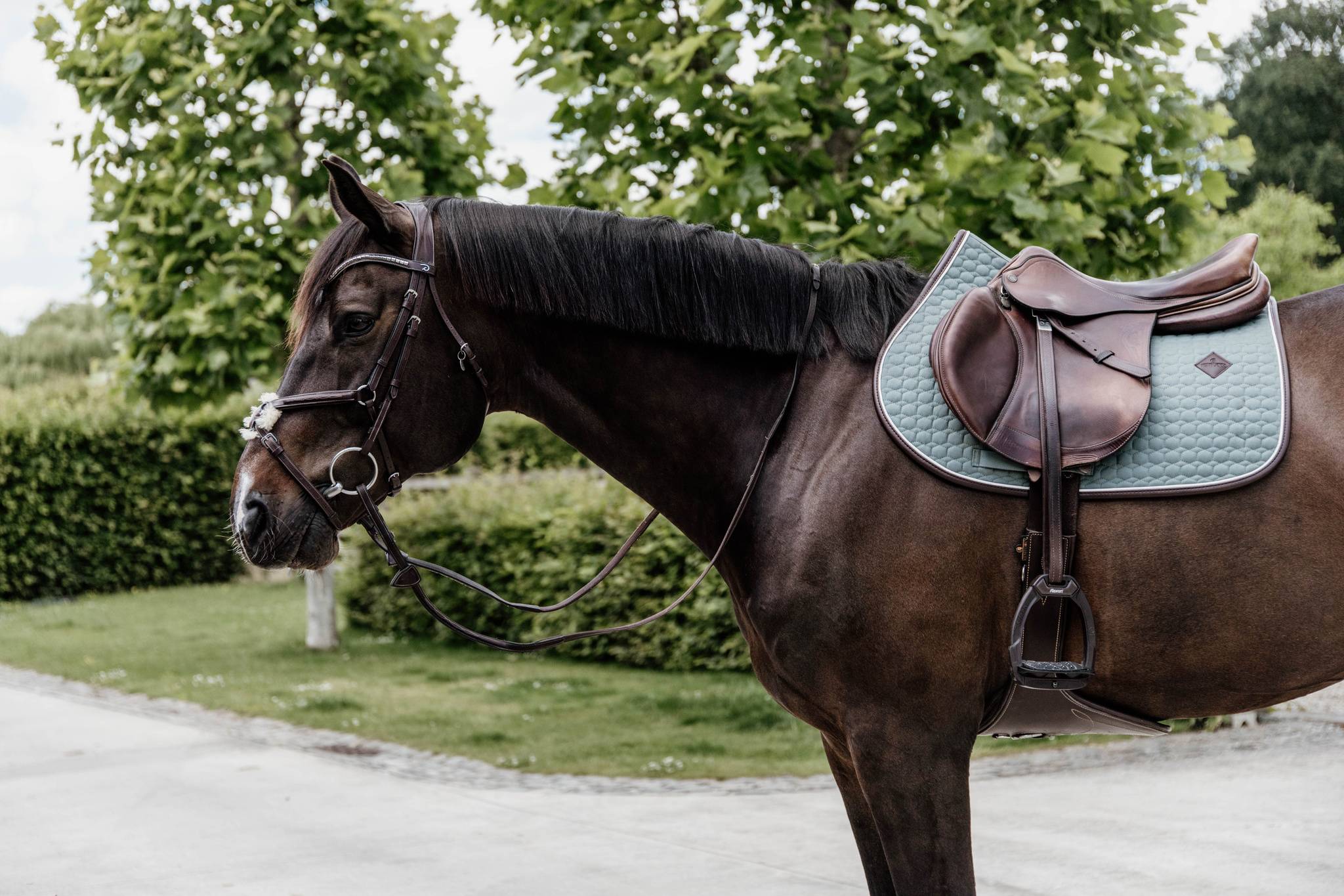 Classic Leather Rug - Kentucky