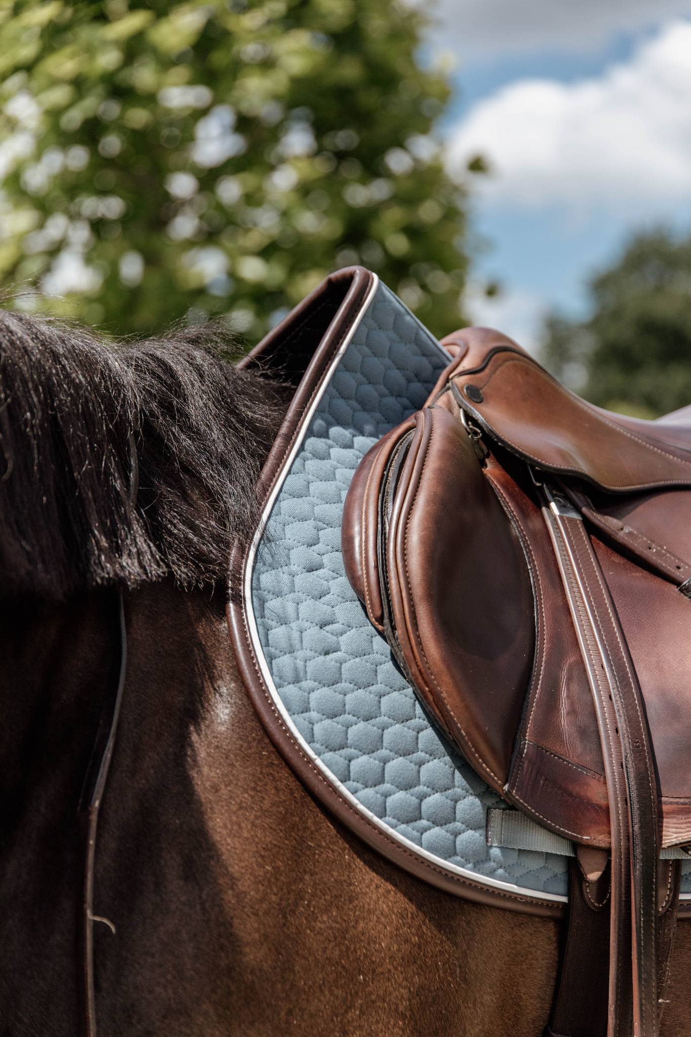 Classic Leather Rug - Kentucky