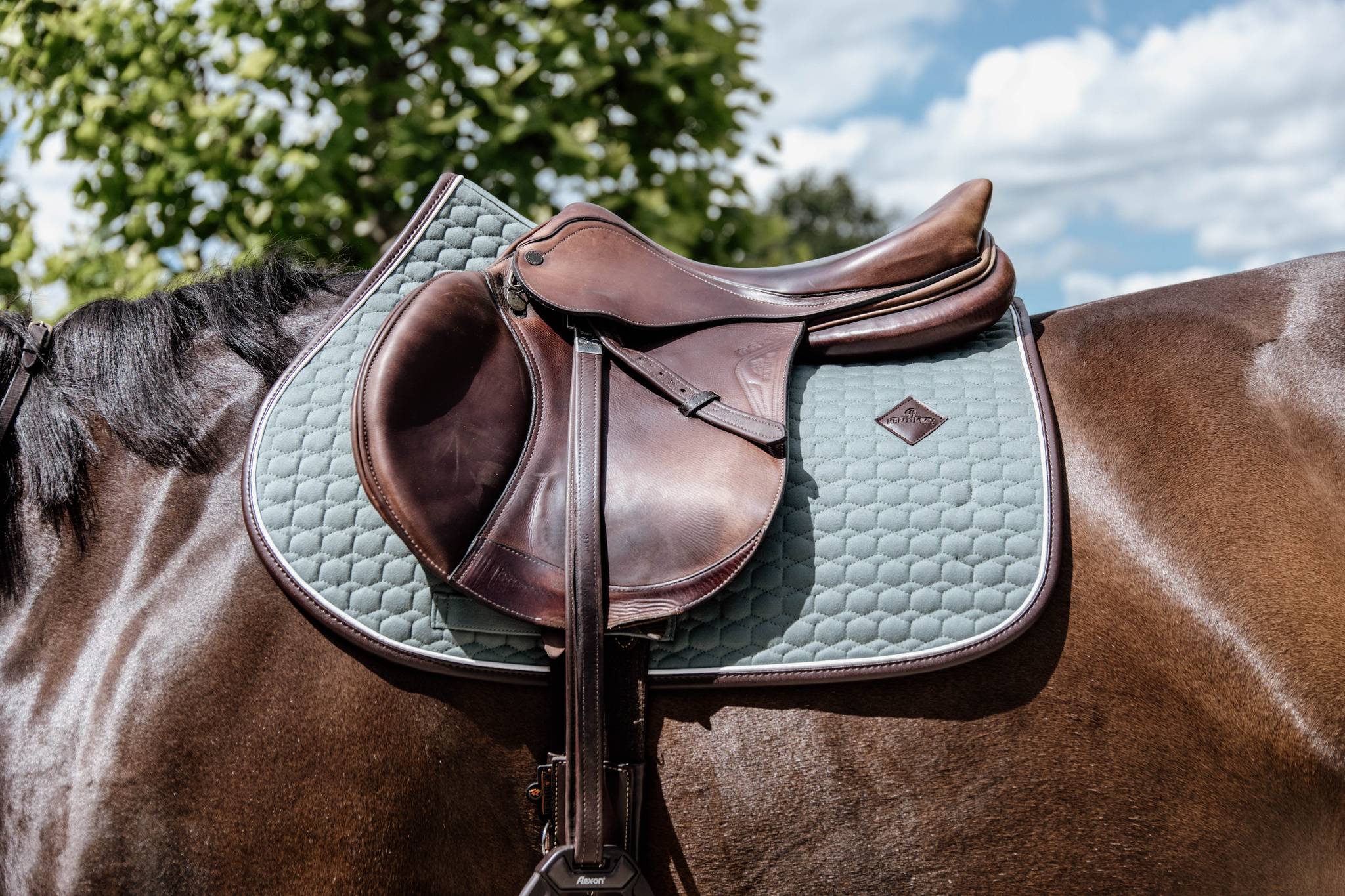 Classic Leather Rug - Kentucky