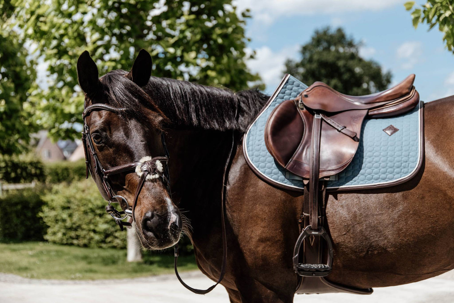 Classic Leather Rug - Kentucky