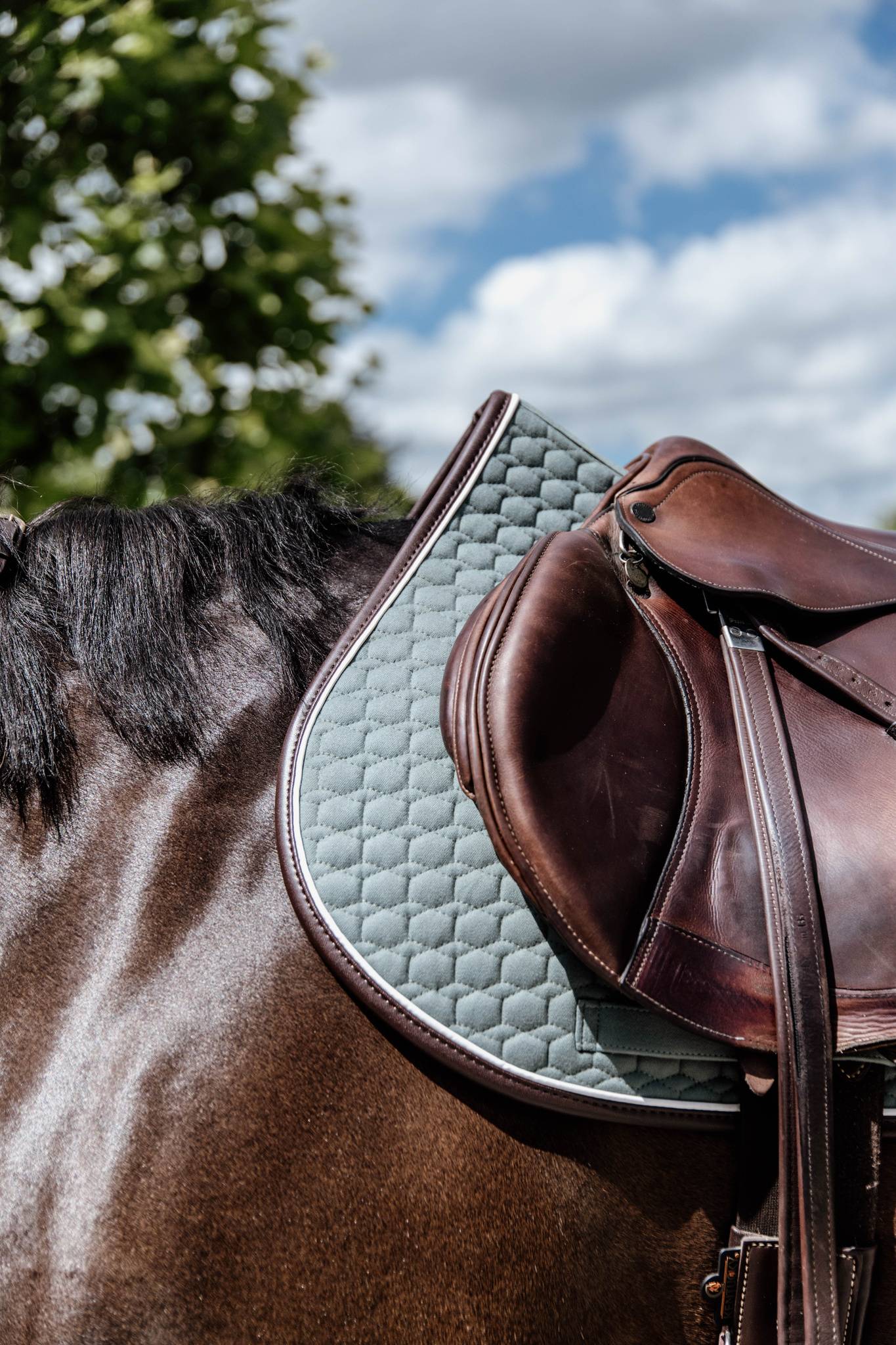 Classic Leather Rug - Kentucky