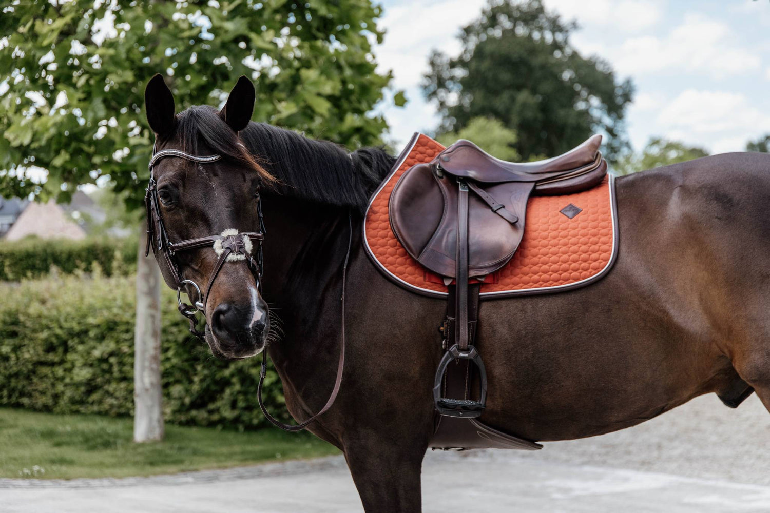 Classic Leather Rug - Kentucky