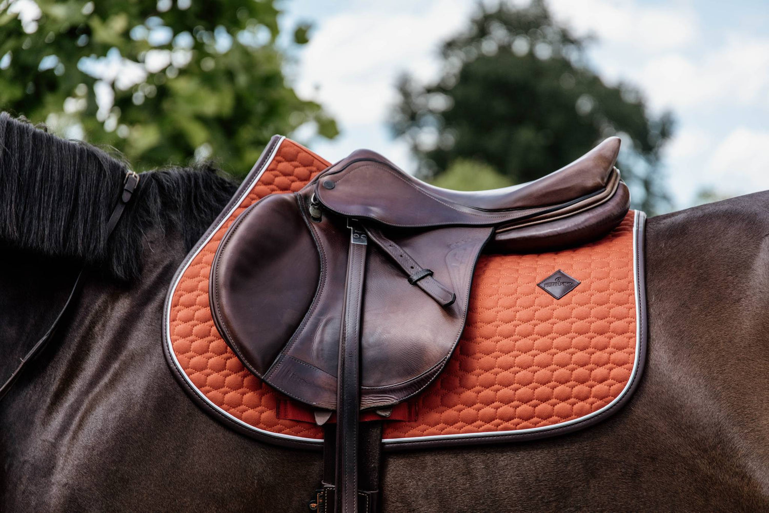 Classic Leather Rug - Kentucky