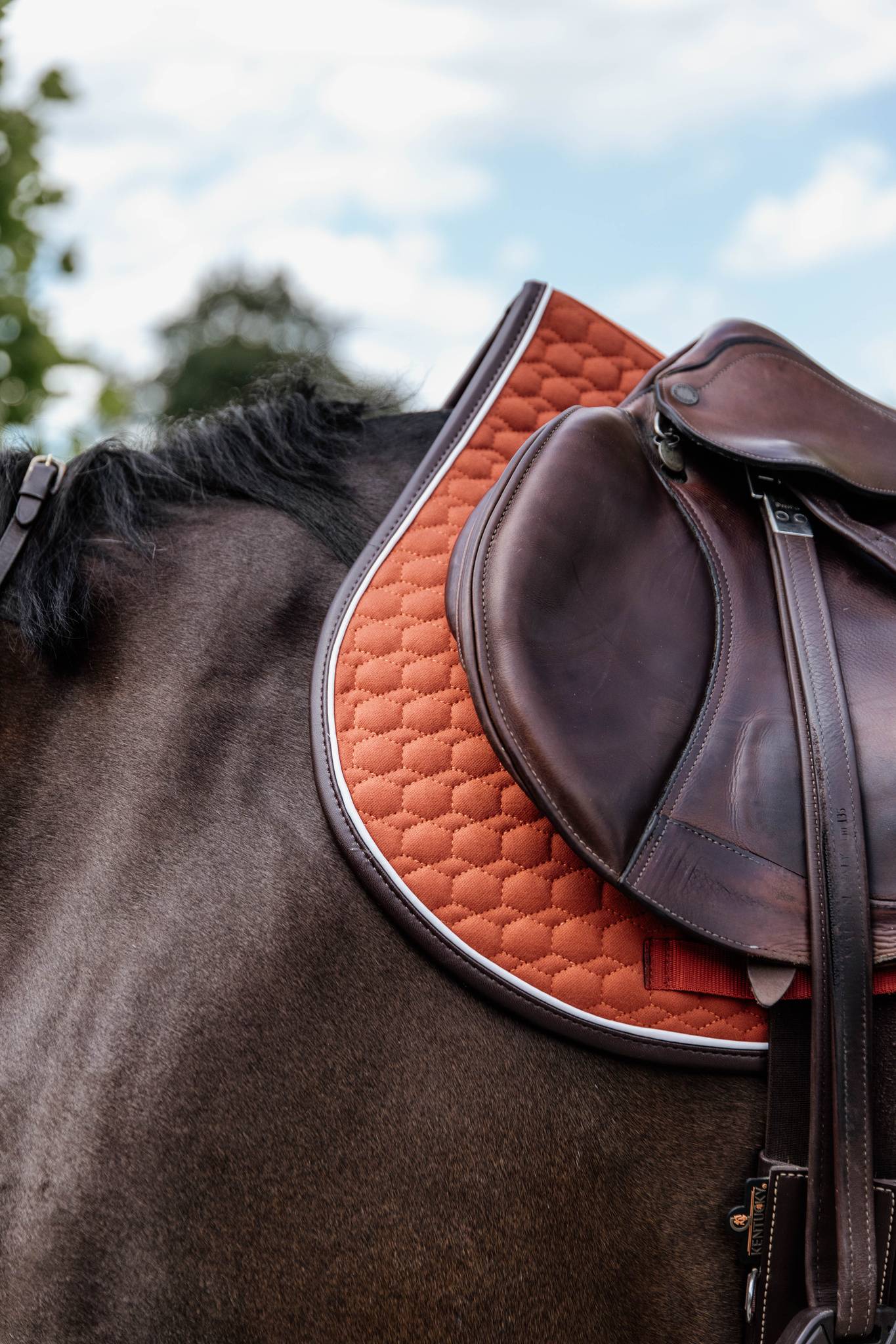 Classic Leather Rug - Kentucky