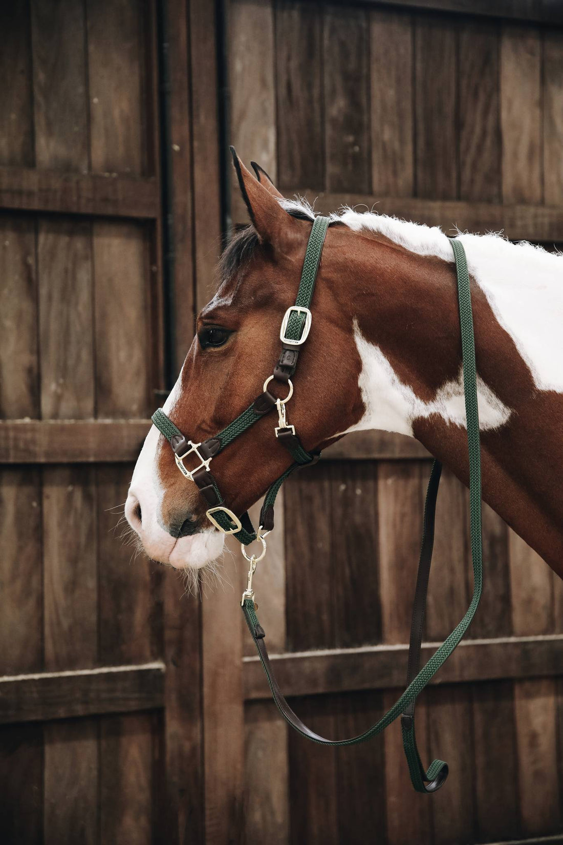 Braided Nylon Lanyard - Kentucky