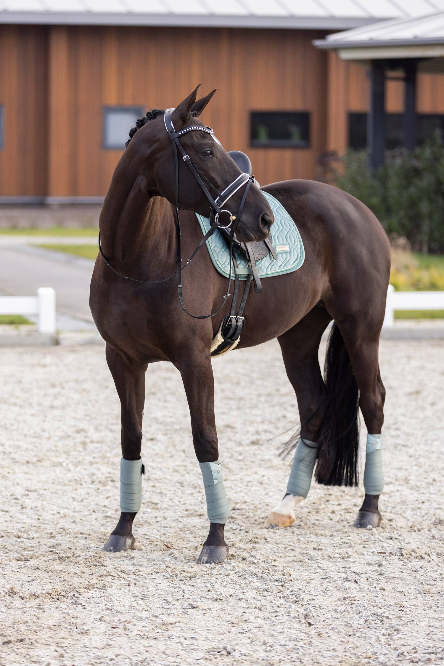 Tapis velours Sky - Imperial Riding