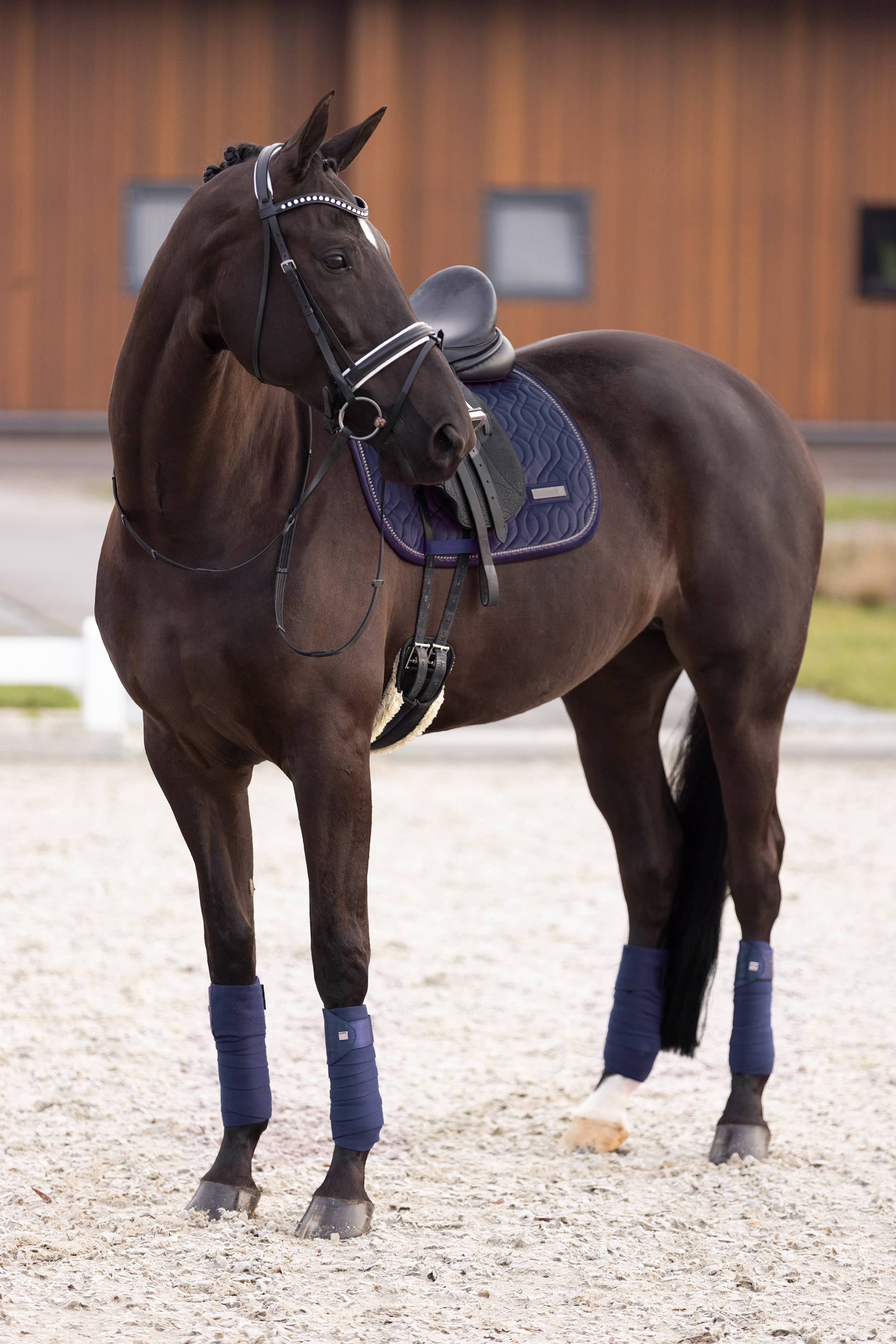 Tapis velours Sky - Imperial Riding