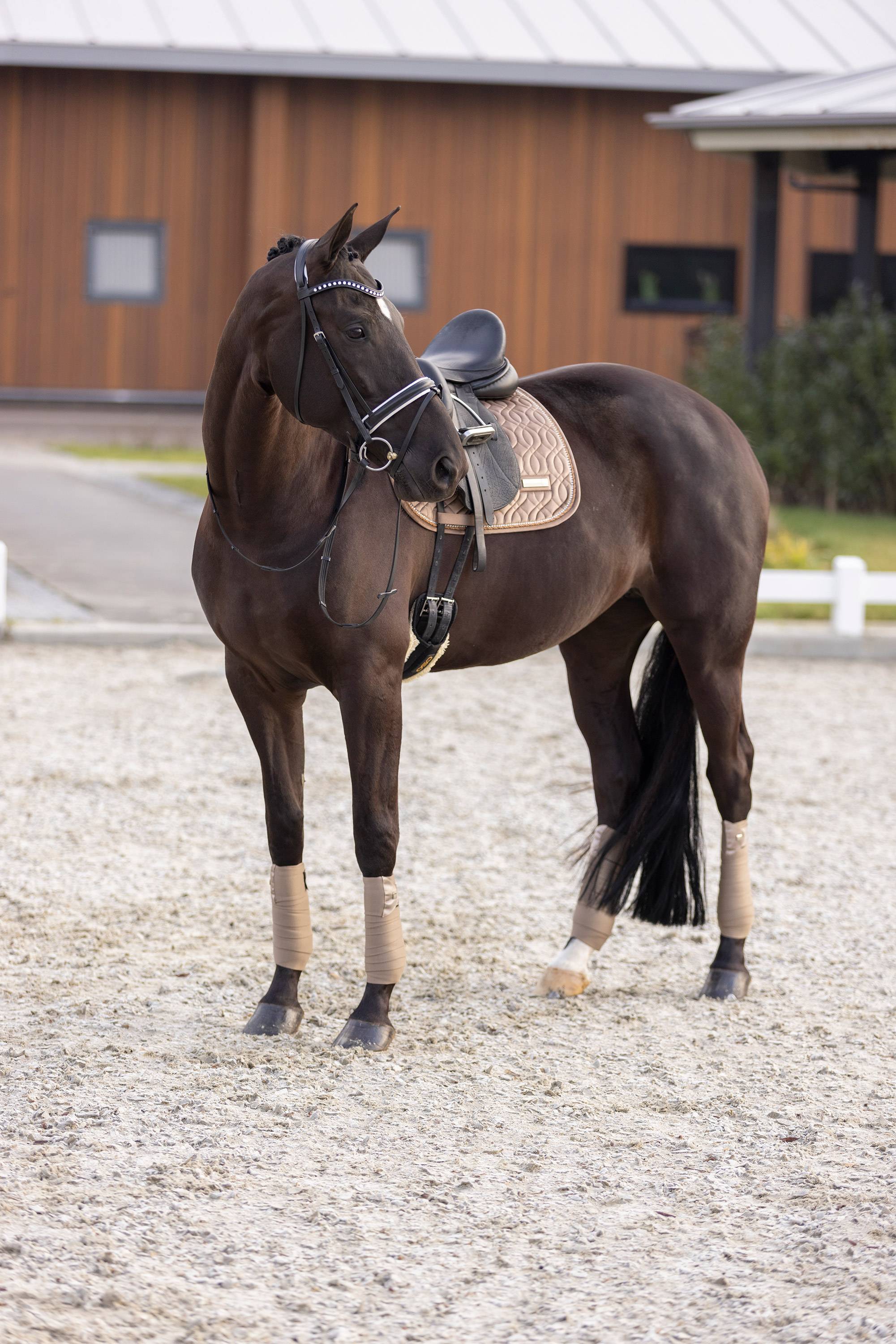 Tapis velours Sky - Imperial Riding