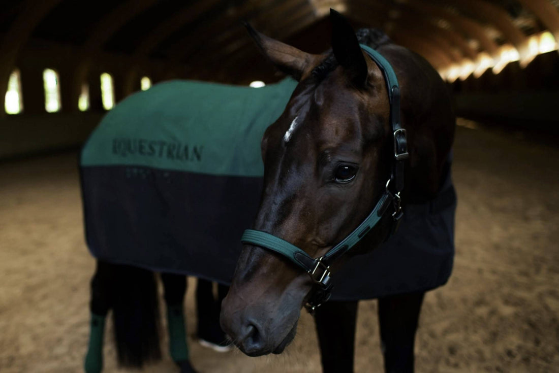 Sycamore Green leather halter and lead rope - Equestrian Stockholm